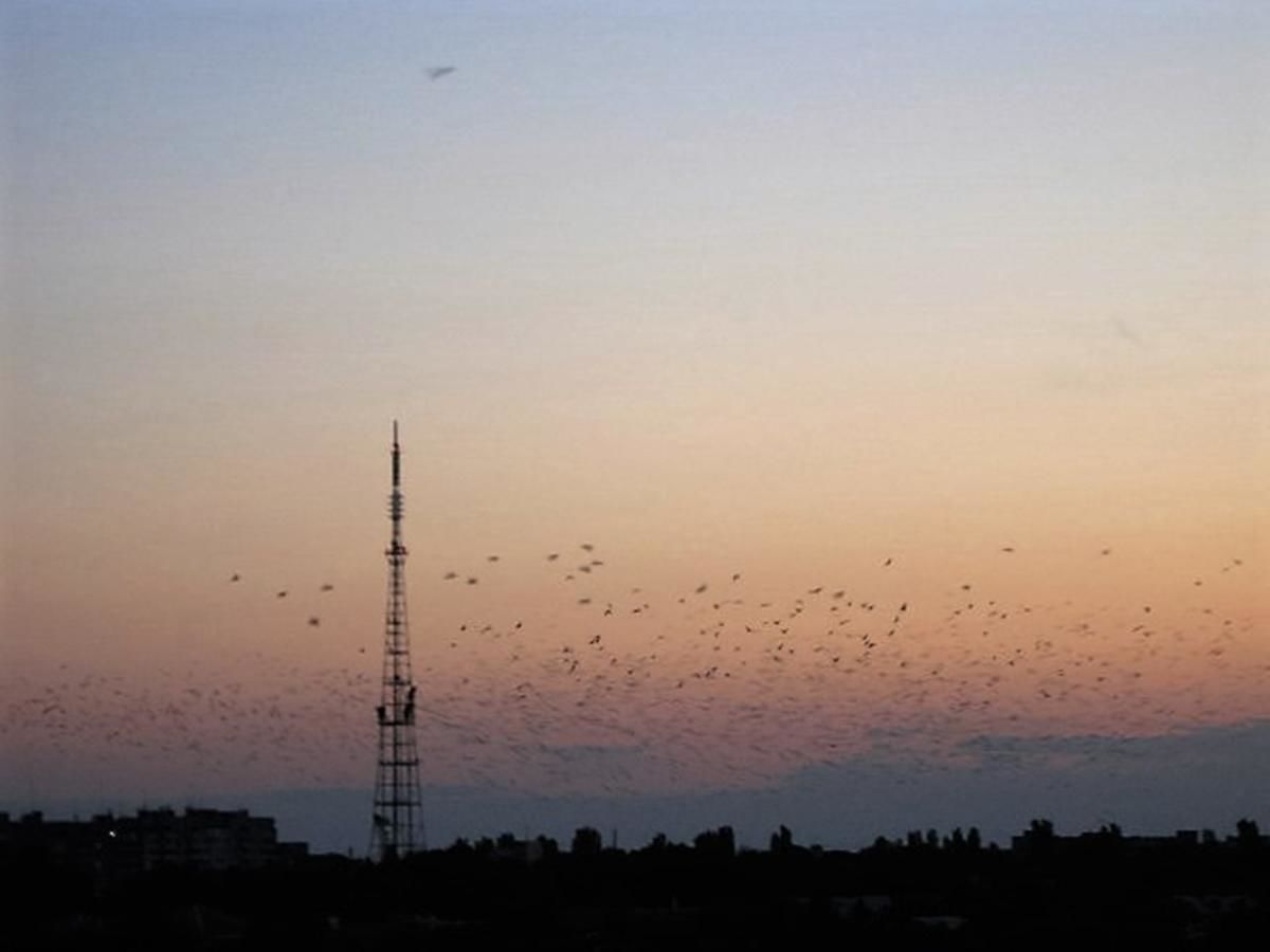 Апартаменты Apartment Admiralskaya Николаев