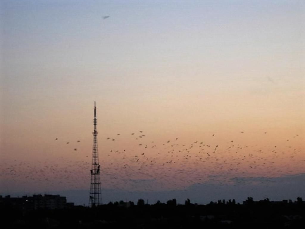 Апартаменты Apartment Admiralskaya Николаев